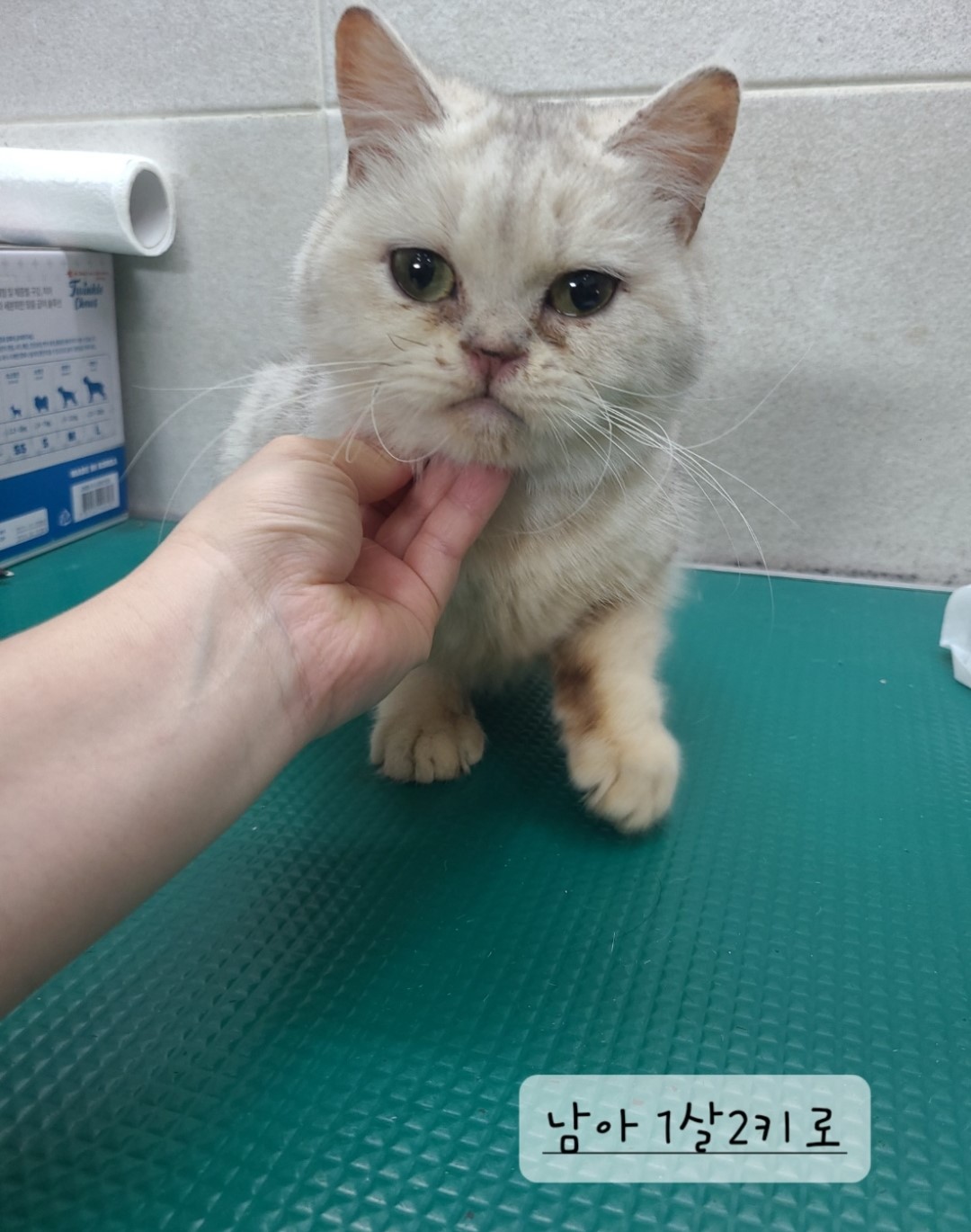 옥천동물병원_443443202400234